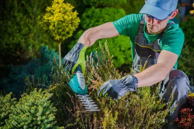 landscaping services Saratoga Springs